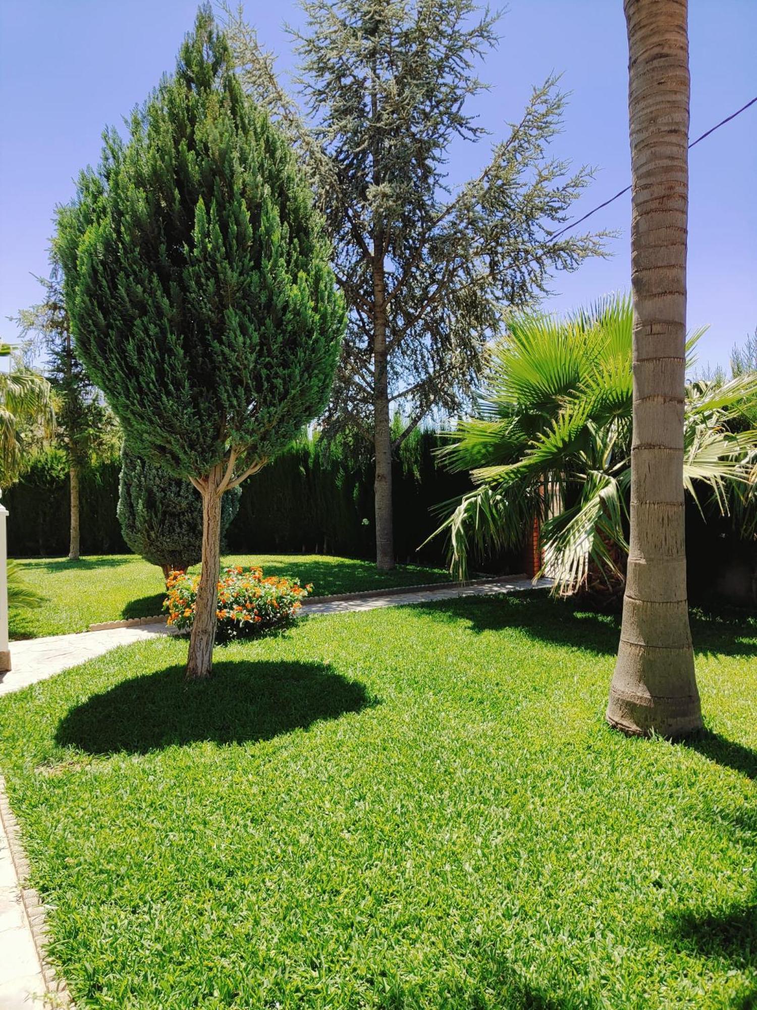 Casa Rural Las Cuatro Flores 오르히바 외부 사진